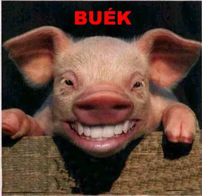 BUÉK 2009